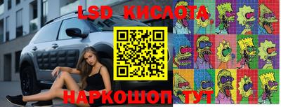 прущие грибы Пугачёв