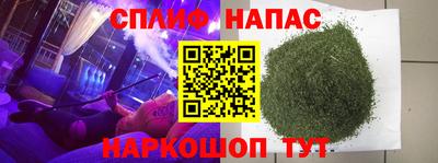 прущие грибы Пугачёв