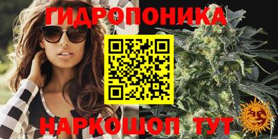 трава Пушкино